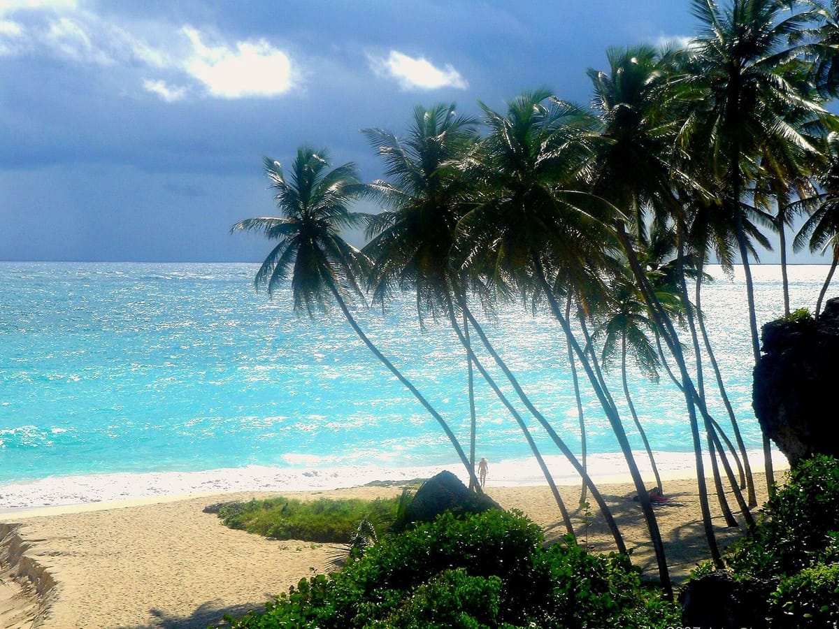 Teluk berpasir dengan tebing dan pohon palem di Bottom Bay, Barbados