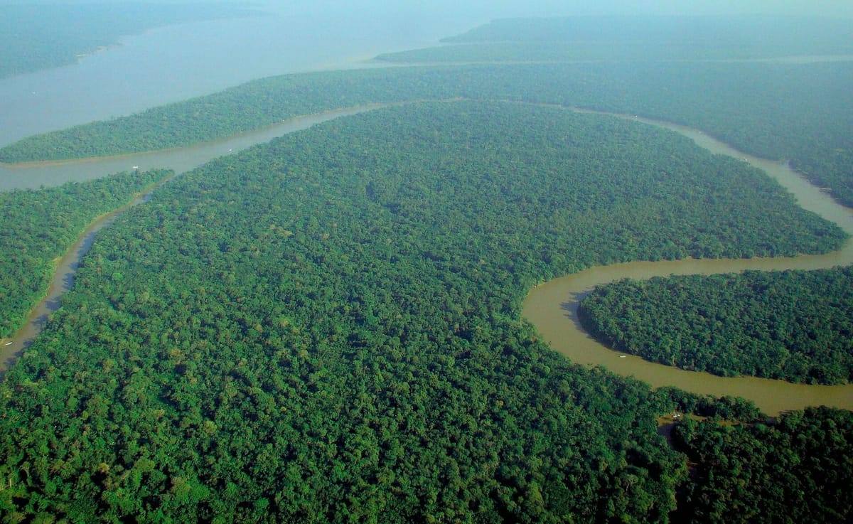 Pemandangan udara hutan hujan Amazon yang lebat