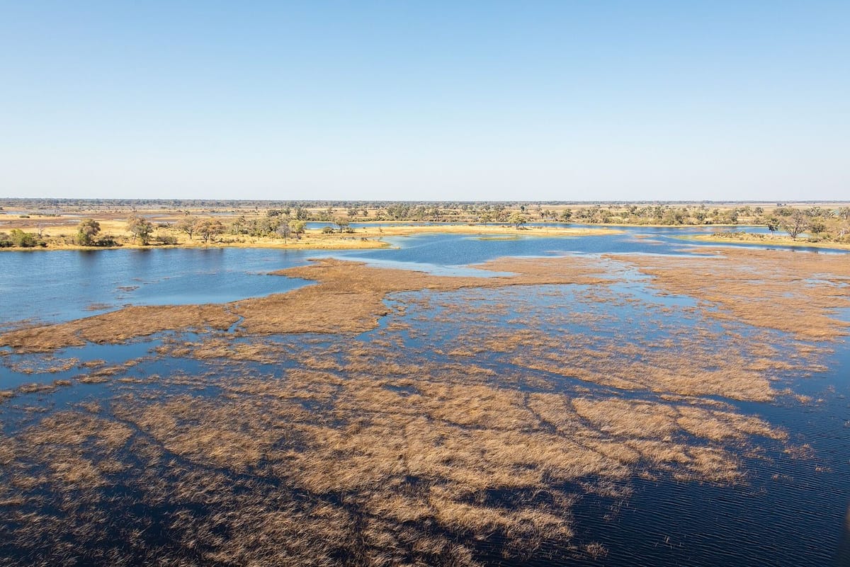 Pandangan udara Delta Okavango dengan saluran air dan pulau kecil