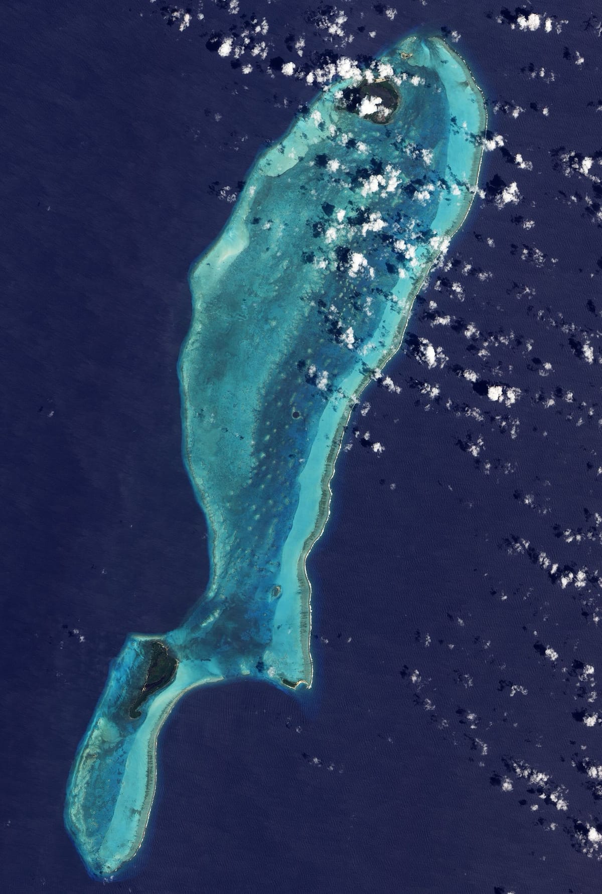 Lubang biru raksasa dikelilingi karang di Lighthouse Reef, Belize