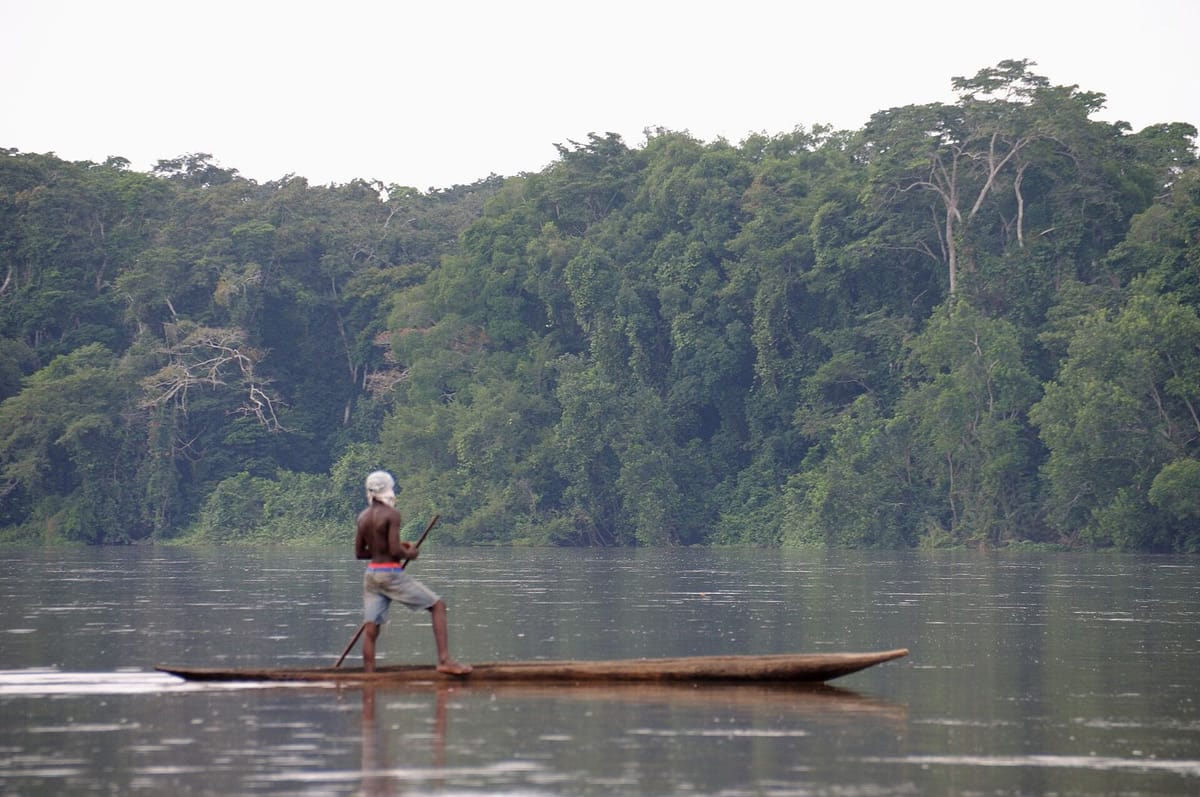 Perahu kayu tradisional di Sungai Sangha dekat Bayanga