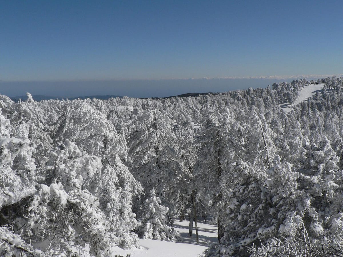 Puncak Chionistra bersalju di Troodos