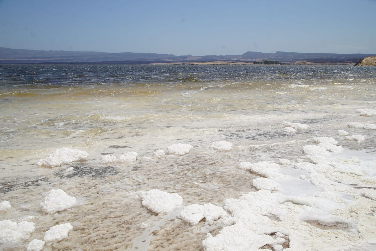 Danau Assal, cekungan garam terendah di Afrika, dikelilingi batuan vulkanik