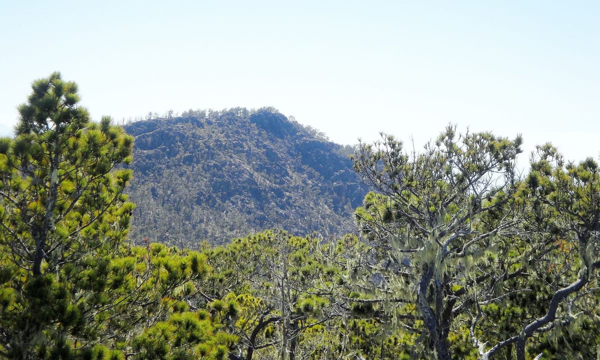 Puncak Pico Duarte di pegunungan Cordillera Central