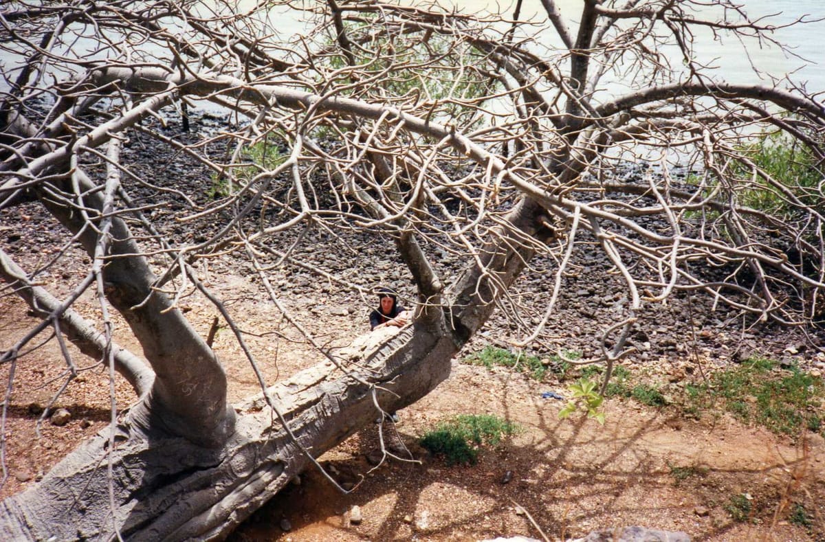 Pulau Kunta Kinteh di tengah Sungai Gambia