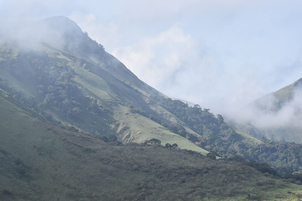 Hutan kabut di Pegunungan Nimba