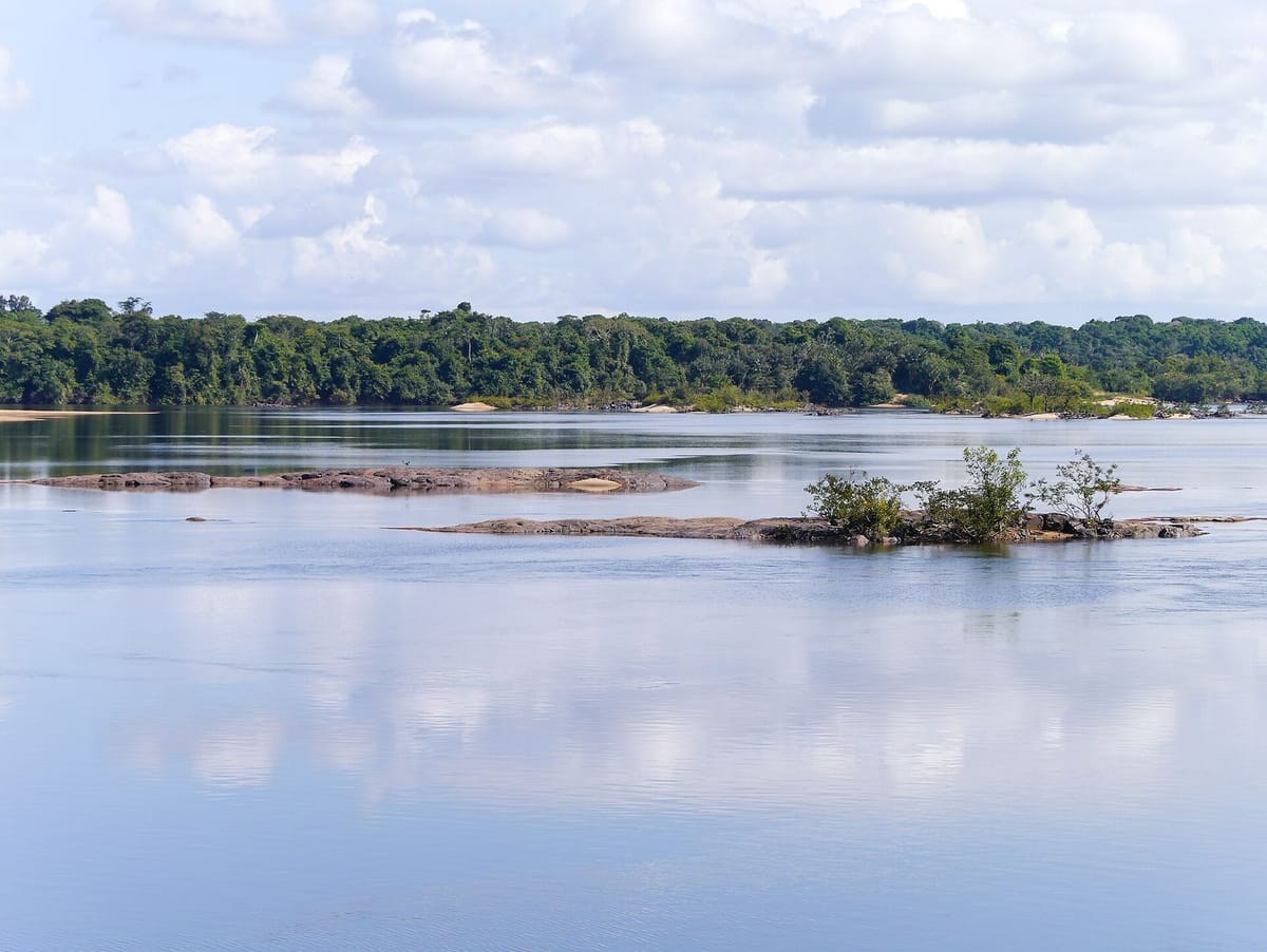 Tajuk hutan hujan Iwokrama dilihat dari ketinggian