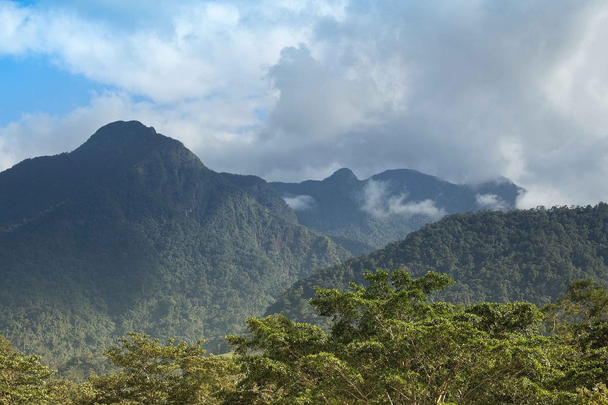 Hutan hujan dan pegunungan di Taman Nasional Pico Bonito