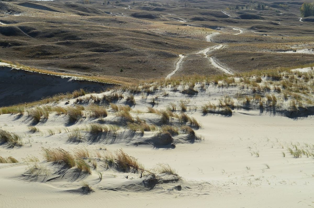 Gumuk pasir dan hutan pinus di Curonian Spit