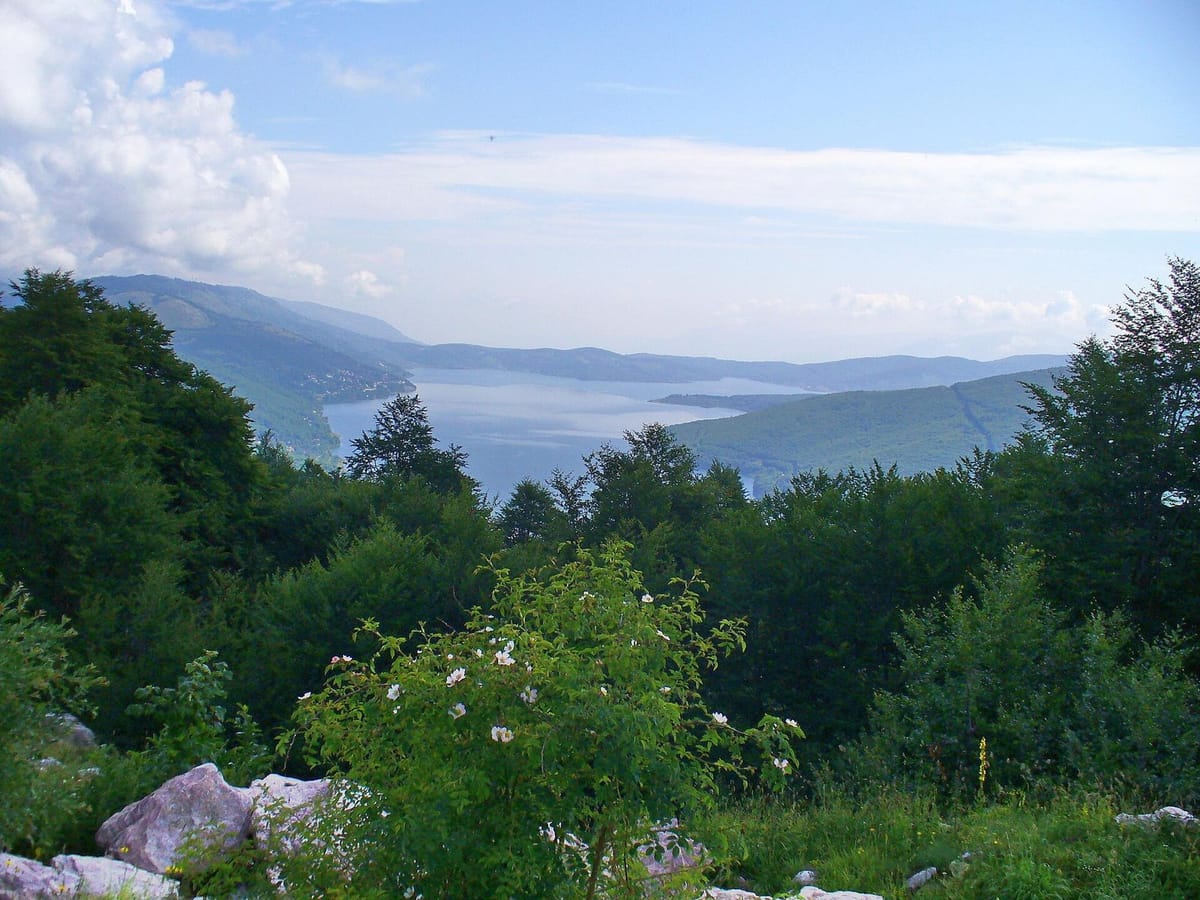 Hutan dan danau buatan di Taman Nasional Mavrovo