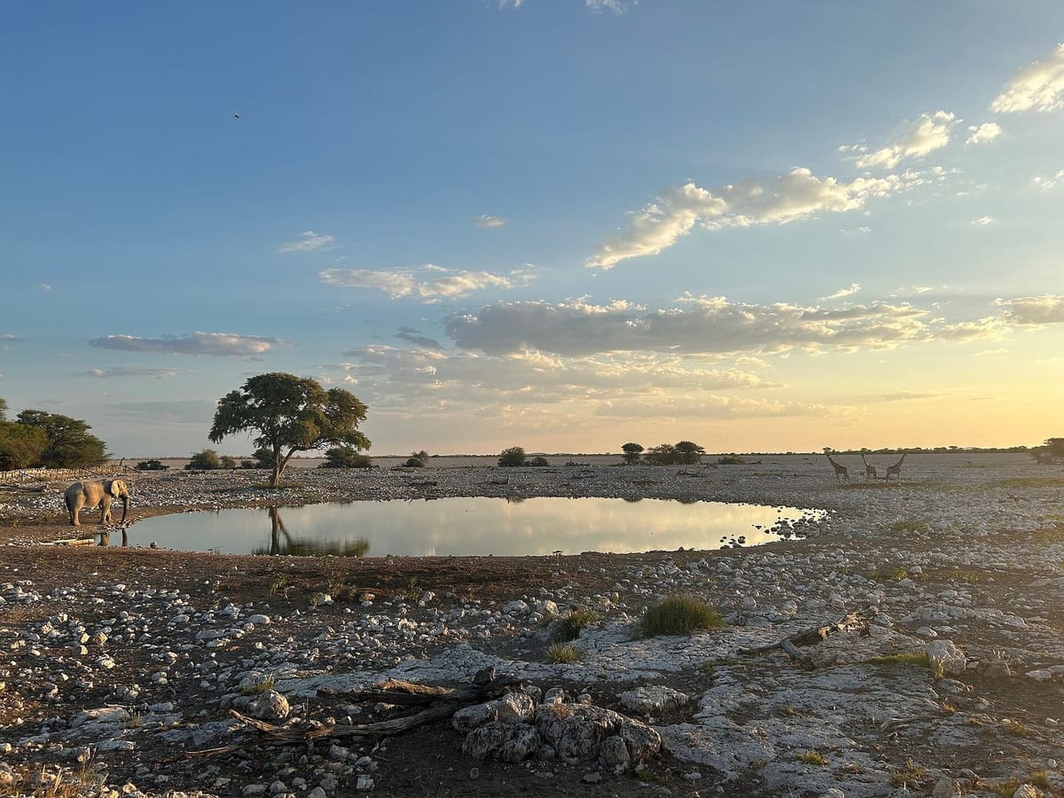 Kubangan air Okaukuejo di Taman Nasional Etosha