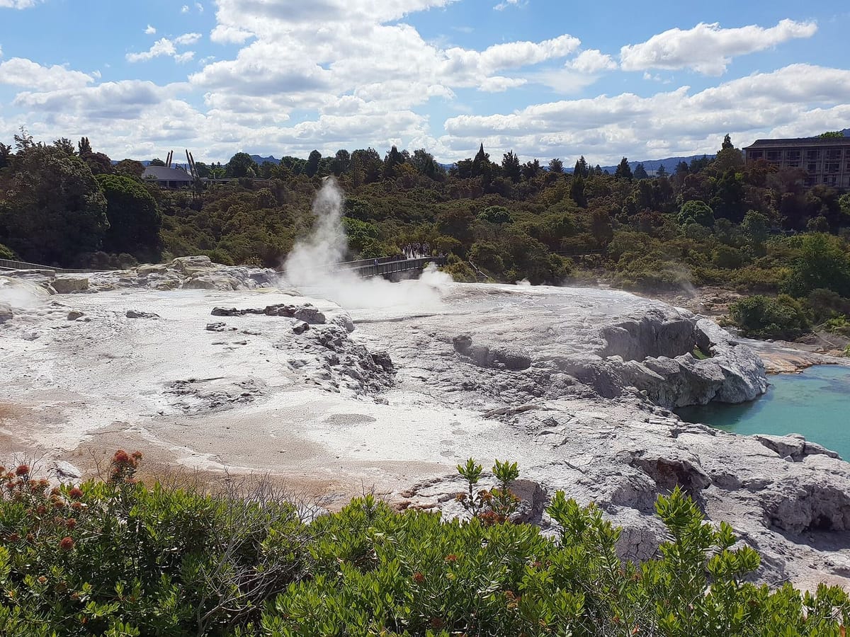Geiser Pohutu menyemburkan uap di Whakarewarewa, Rotorua