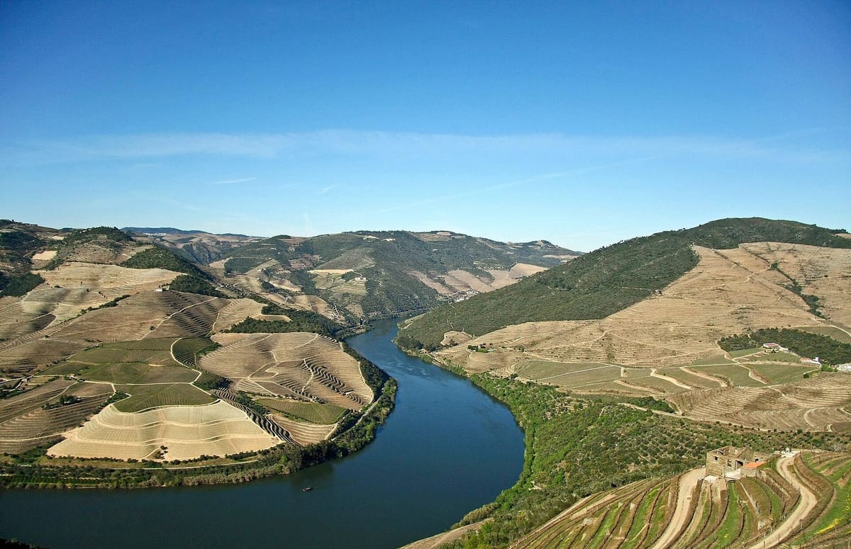 Teras anggur di lembah Sungai Douro