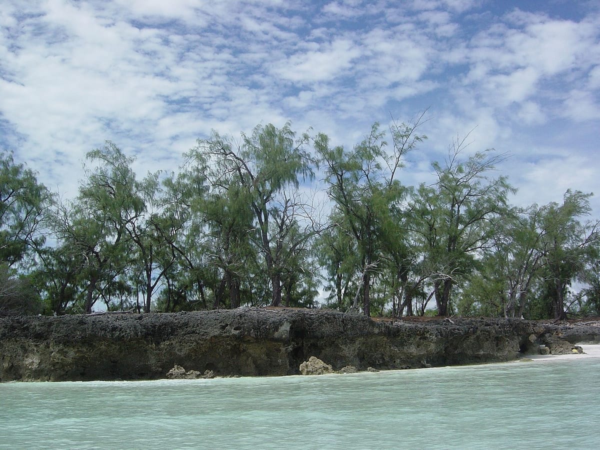 Laguna dan pulau di Atol Aldabra