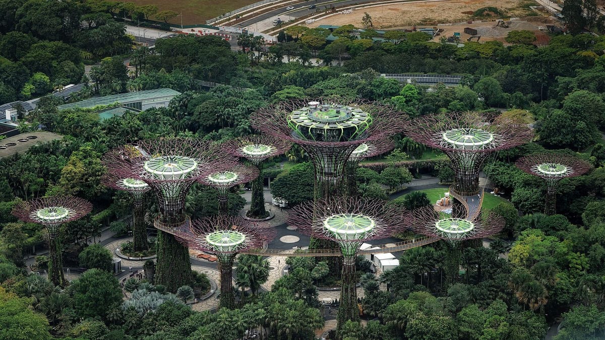 Supertree Grove di Gardens by the Bay, Singapura