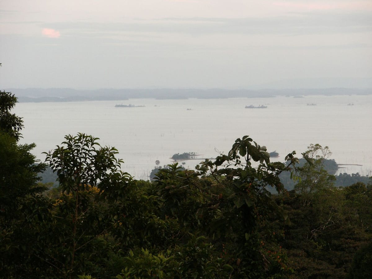 Waduk Brokopondo dilihat dari perbukitan Brownsberg, Suriname