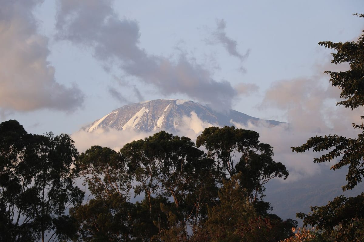 Gunung Kilimanjaro dengan puncak bersalju di atas savana
